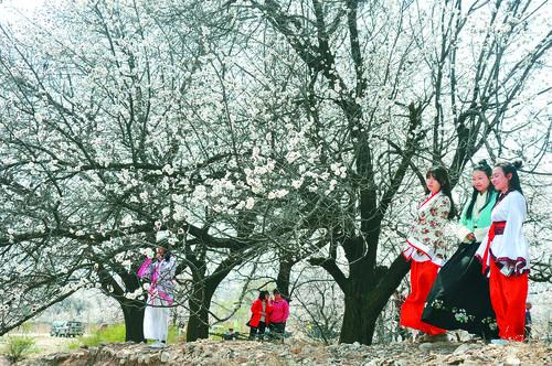 九球体育直播 花式撞球赛事高清直播